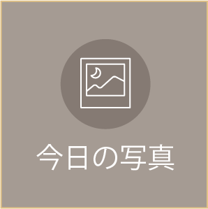 今日の写真